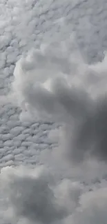 Serene cloudy sky with soft white clouds.