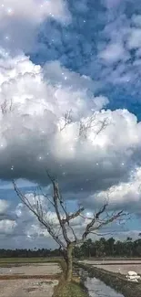 Tree under fluffy clouds with blue sky and reflection, serene nature scene.