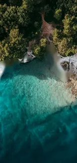 Aerial view of turquoise waters and lush green forest coastline.