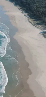 A serene coastal beach with blue ocean waves and white sandy shores.