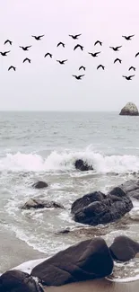 Waves crash on a rocky beach under birds flying.