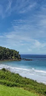 Serene beach with ocean, sky, and greenery.