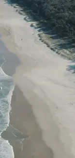 Aerial view of a beach with sandy shores and ocean waves.