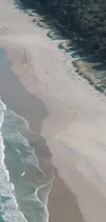 Aerial view of tranquil beach with waves and greenery.