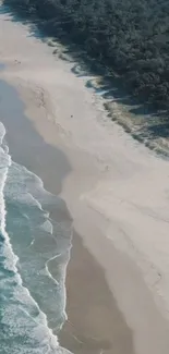 Aerial view of a serene beach with waves and forest line.