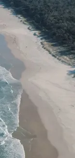 A serene view of a beach with ocean waves and lush greenery.