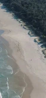 Aerial view of a serene coastal beach with waves gently meeting the sandy shore.