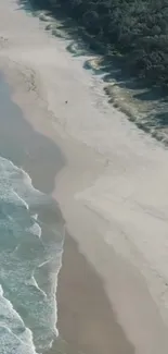 Aerial view of a tranquil beach with soft sand and gentle ocean waves.