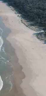 Aerial view of a serene beach with gentle ocean waves and lush greenery.