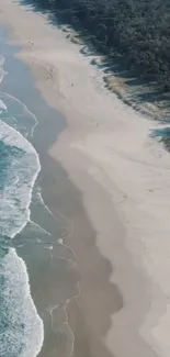 Aerial view of a tranquil beach with waves and greenery.