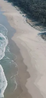 Serene coastal beach view with waves and sandy shores for mobile wallpaper.