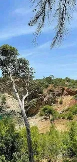 Scenic coastal landscape with sea, trees, and a clear blue sky.