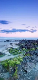 A serene coastal scene with blue sky, rocky shoreline, and vibrant green moss.