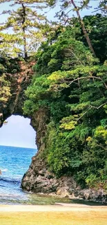 Coastal landscape with lush greenery and natural sea arch.