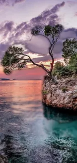 Serene sunset over a rocky coastline with vibrant pink sky.