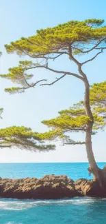 Serene coastal scene with trees and ocean.