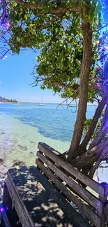 Serene beach view with tree and bench by the ocean.