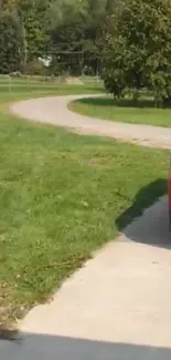 Serene countryside driveway with green lawns and a red vehicle parked.