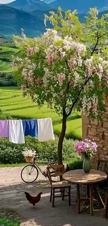 Serene countryside scene with tree and bike.