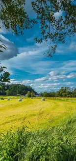 Scenic view of a picturesque countryside with blue sky and lush green fields.