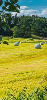 Scenic countryside with golden fields, green forest, and a clear blue sky.