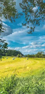 Tranquil countryside with blue sky and green fields.