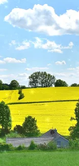 Serene countryside landscape with yellow fields and blue sky.