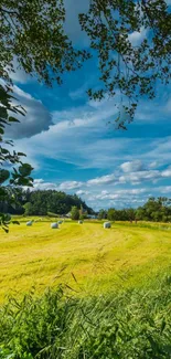 Serene countryside with green fields under a blue sky.