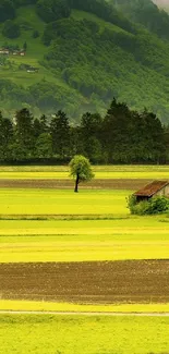 Scenic countryside with green fields and rustic barns mobile wallpaper