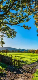 Vibrant countryside scene with sunlit path and blue sky.