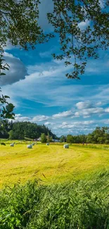 A serene countryside meadow with hay bales under a bright blue sky.