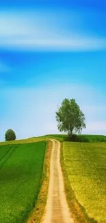 Peaceful countryside road under blue sky.