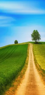 A scenic countryside path with green fields under a bright blue sky.