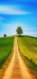 Countryside path through green fields under a blue sky.