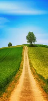 Serene pathway through green hills under a bright blue sky.