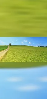 Serene countryside pathway with green fields under a blue sky.