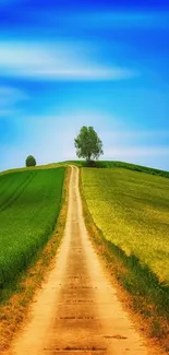 A serene countryside road with lush fields and a vibrant blue sky.