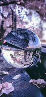 Crystal ball on bench with cherry blossoms reflecting serene nature.