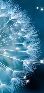 Close-up of a dandelion against a blue background, perfect for a calming wallpaper.