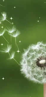 Dandelion seeds floating on green background wallpaper.