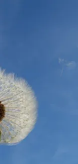 Dandelion seed floating in a bright blue sky wallpaper.