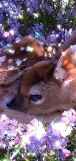 Fawn lying in vibrant purple flowers.