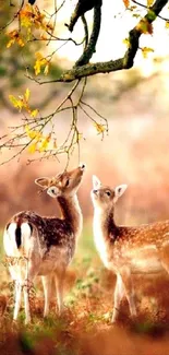 Two deer in a serene autumn forest with vivid leaves.