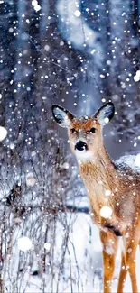 A deer stands calmly amidst falling snow in a tranquil winter forest scene.