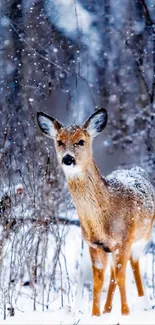 Serene deer standing in a snowy winter forest.