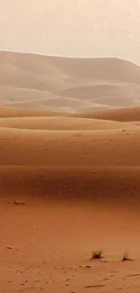 Serene desert dunes in sandy brown shades, minimalist mobile wallpaper.