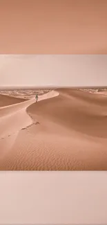 Serene desert dunes with expansive sandy landscape for mobile wallpaper.