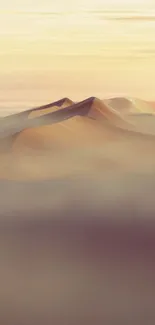 Serene desert dunes at sunset with warm light.