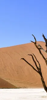 Serene desert landscape with blue sky and sand dunes.