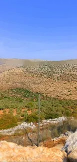 Serene desert landscape with clear blue sky.